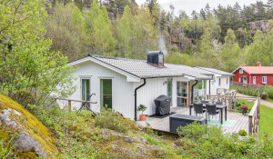 Broberg 445