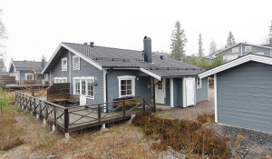 Älgen 13