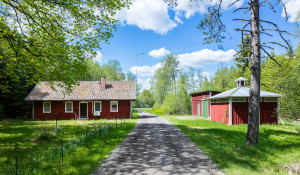 Lannaskede Björknäs 1