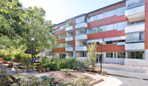 Skepparegången 20