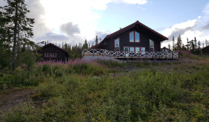 Bydalsfjällen