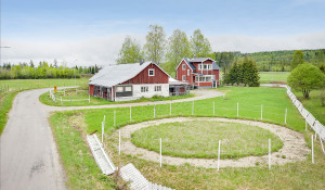 Nilsland 25