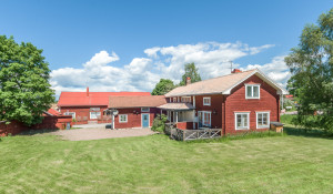 Hjortnäs Träsgattu 1