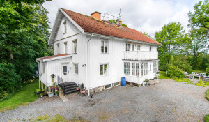 Dals-Högen 650