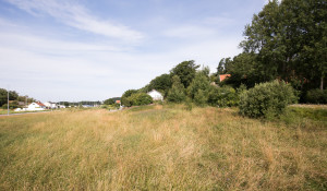 Skäggevägen 2