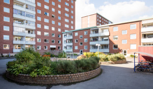 Gröna gatan 65