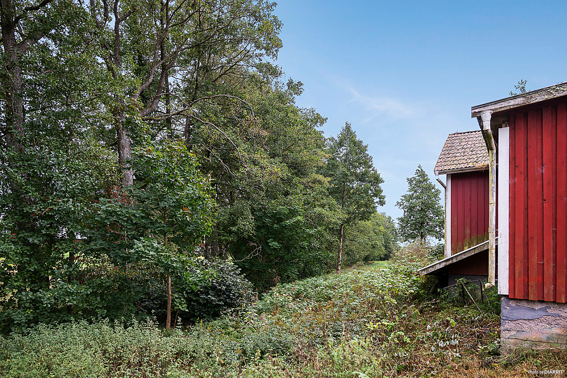 Bild från objektet Bilder