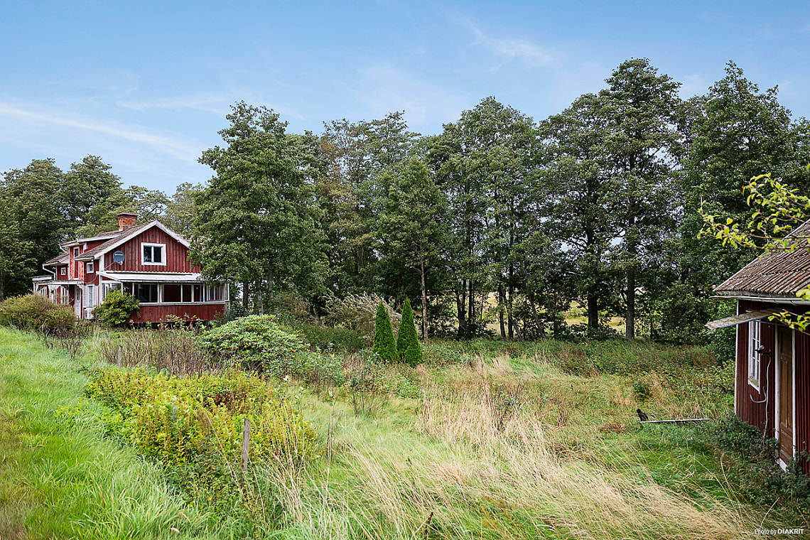 Bild från objektet Bilder