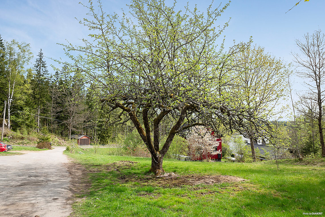 Bild från objektet Välkomna!