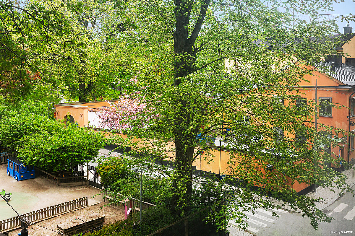 Bild från objektet Välkommen!