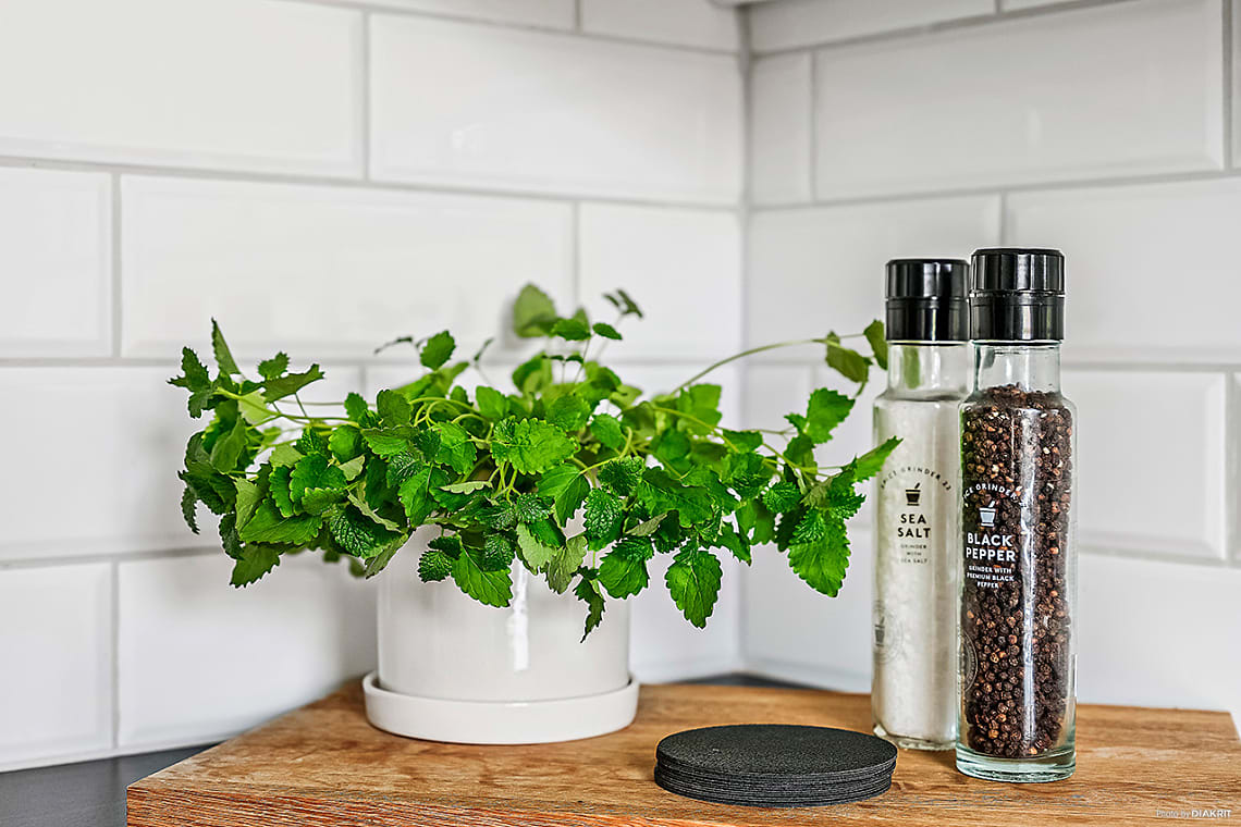 Bild från objektet Välkommen!