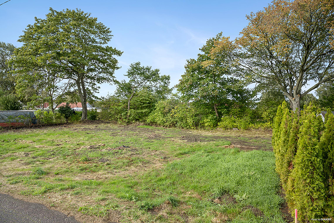 Bild från objektet Välkommen