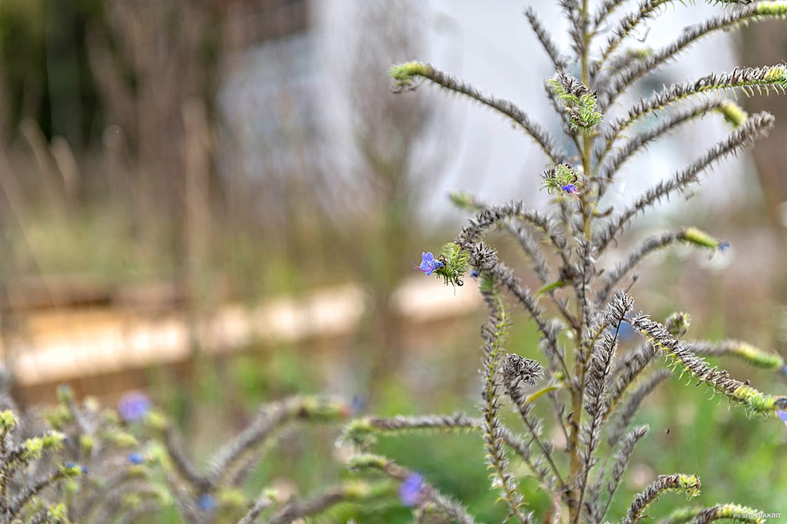 Bild från objektet Välkommen