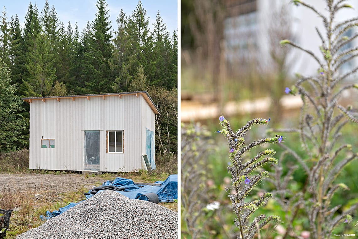 Bild från objektet Välkommen