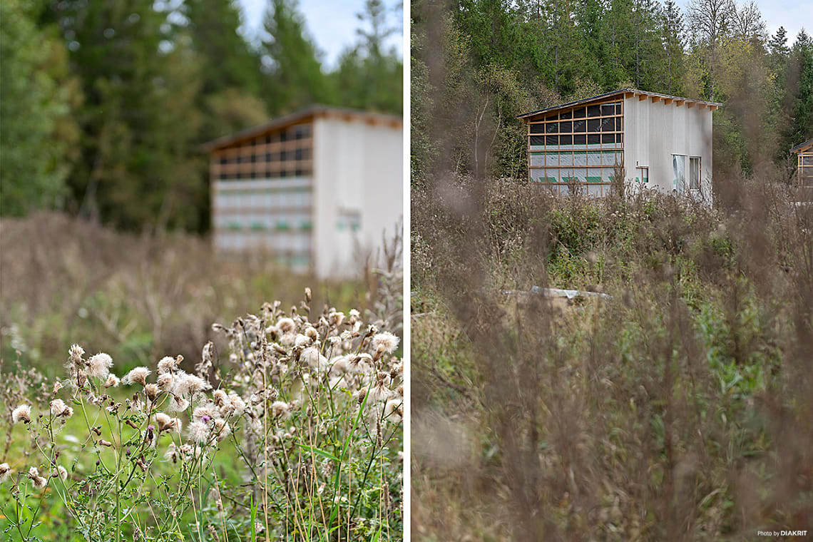 Bild från objektet Välkommen