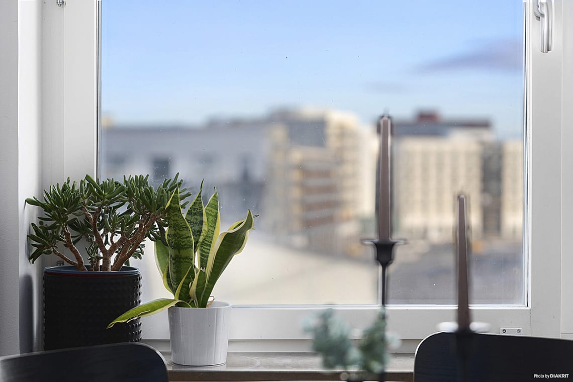 Bild från objektet Välkommen