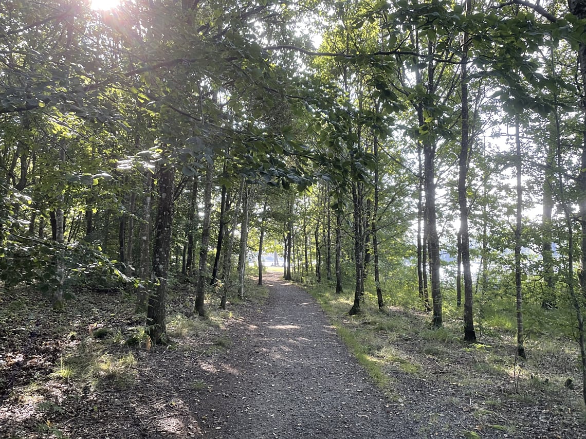 Bild från objektet Säljarens bilder