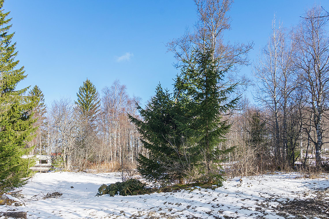 Bild av bostaden