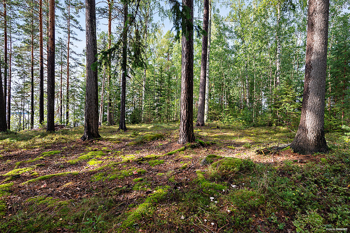 Bild av bostaden