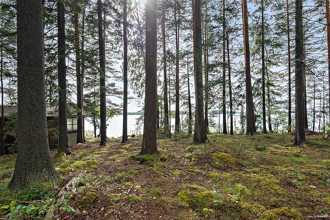 Bild av bostaden