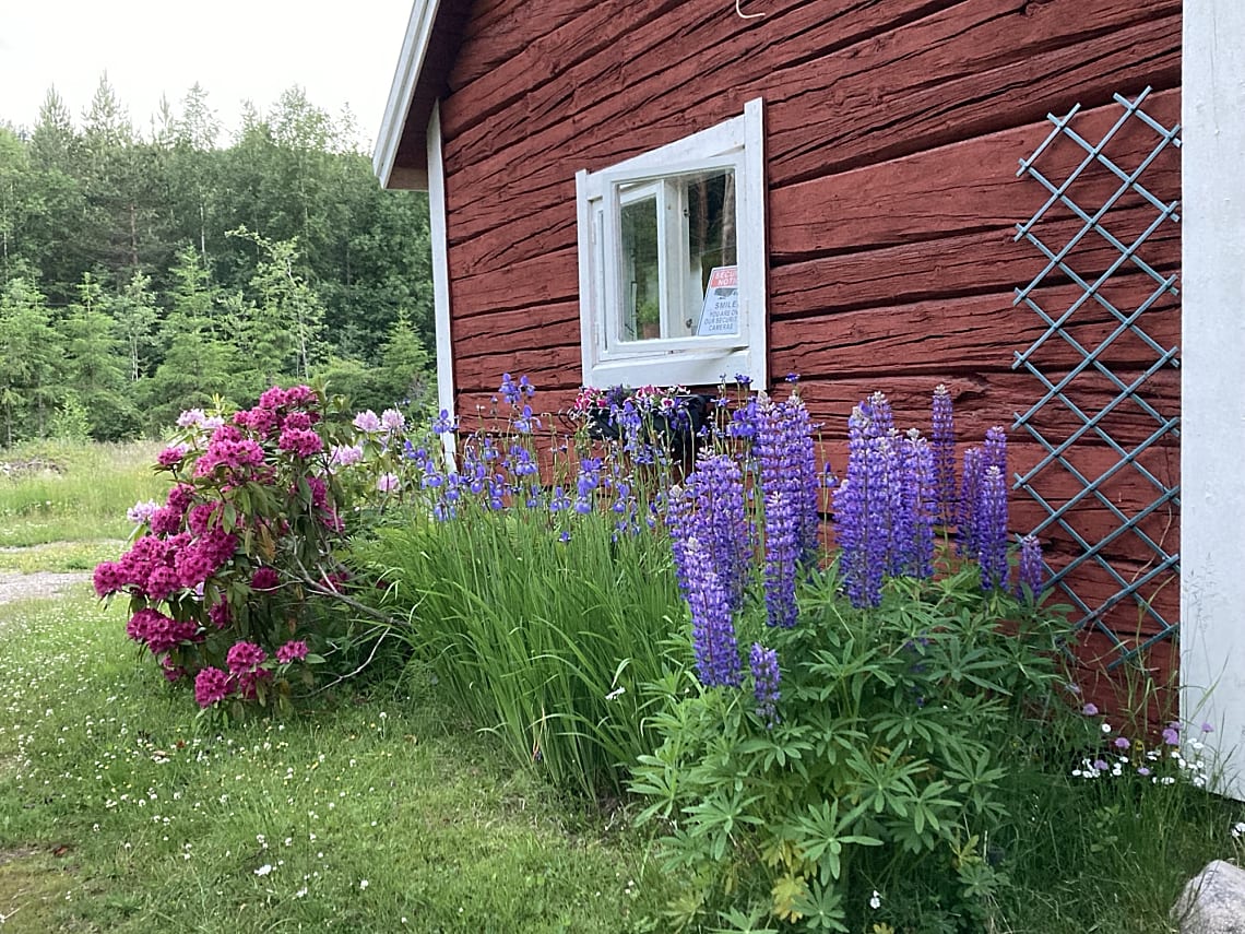 Bild av bostaden