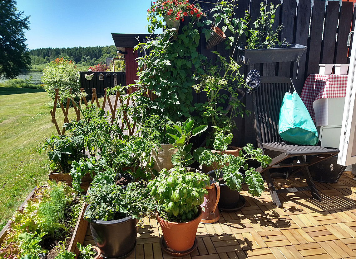 Bild av bostaden
