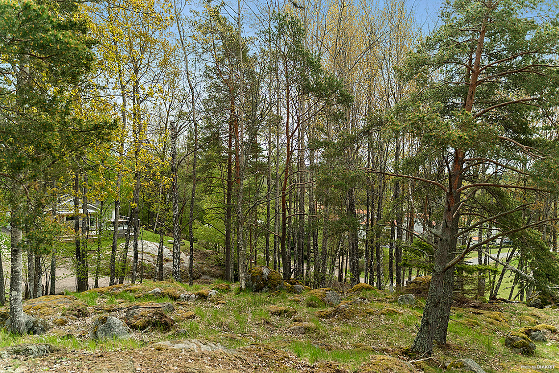 Bild av bostaden