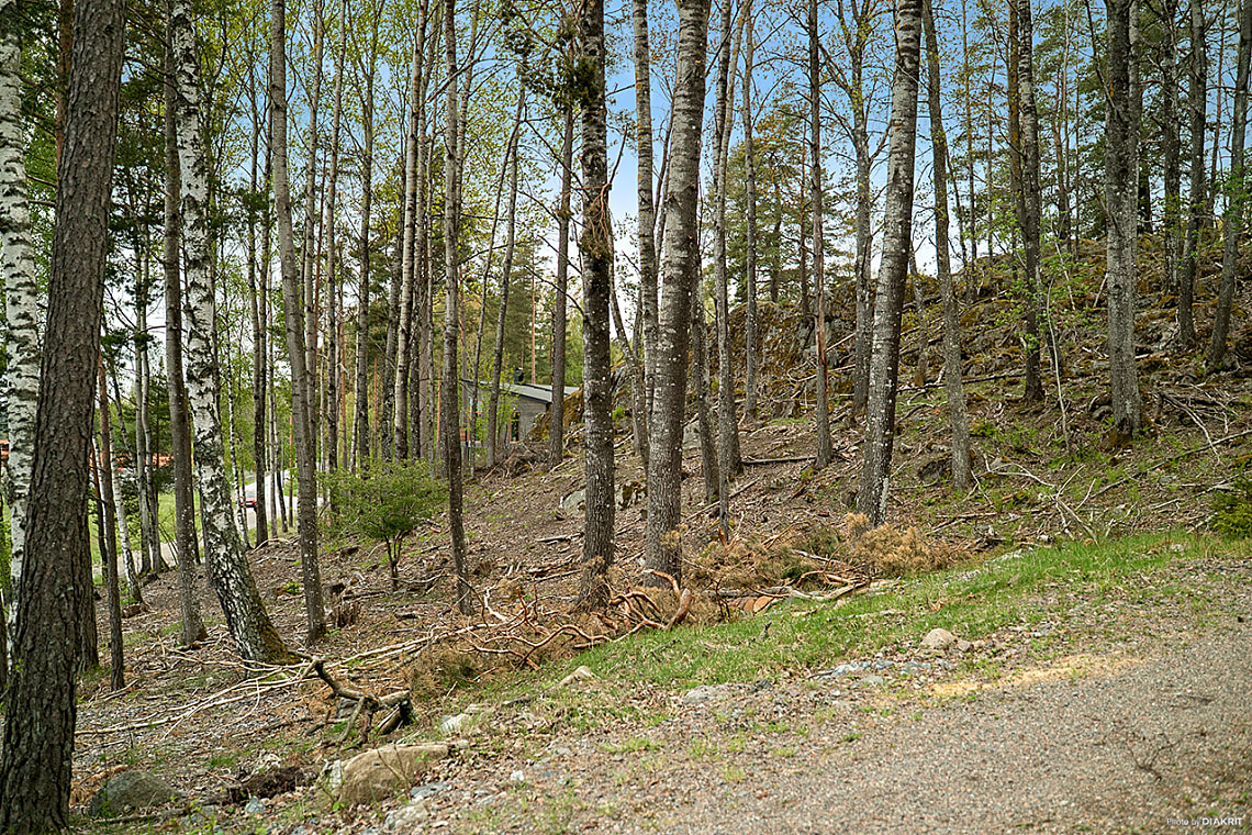 Bild av bostaden