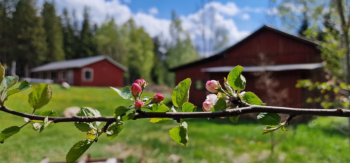 Bild av bostaden