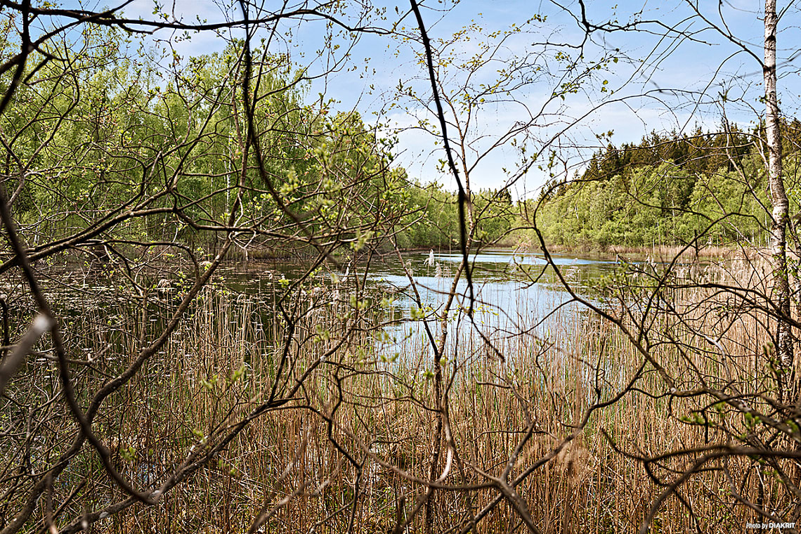 Bild av bostaden