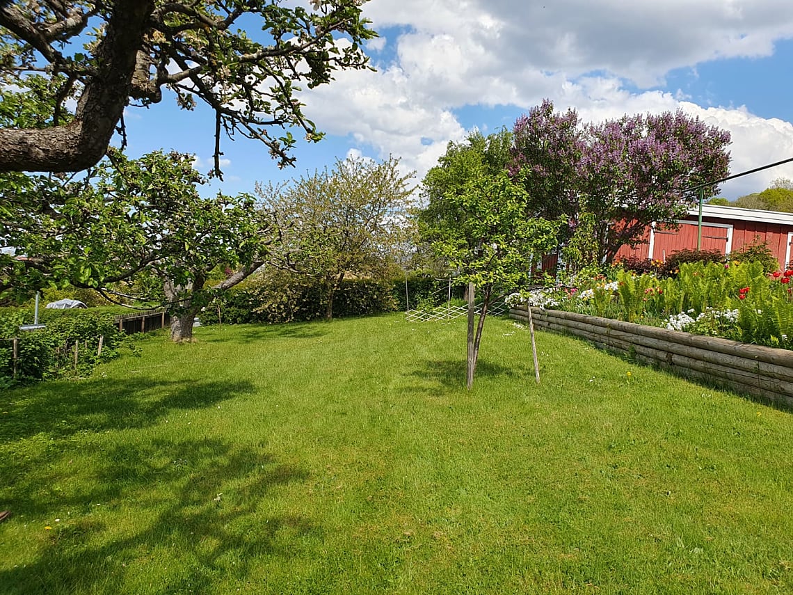 Bild av bostaden