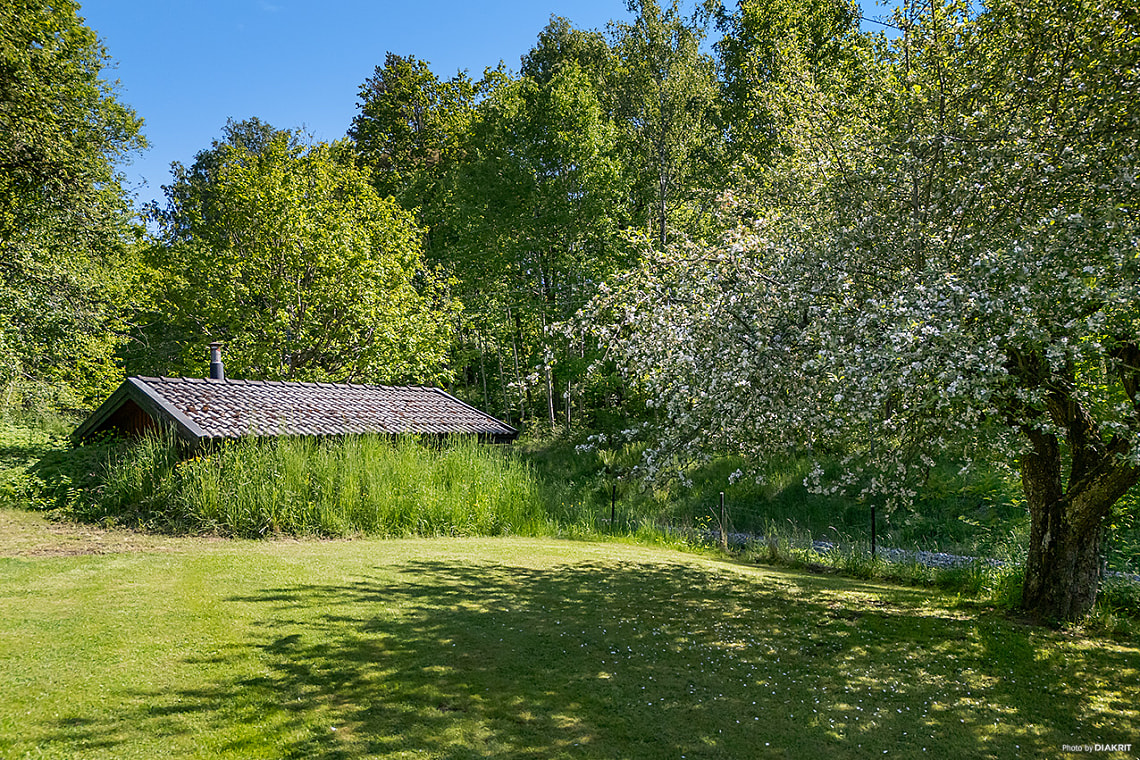 Bild av bostaden