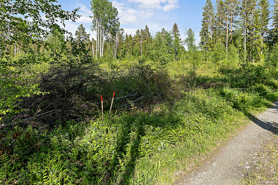 Bild av bostaden