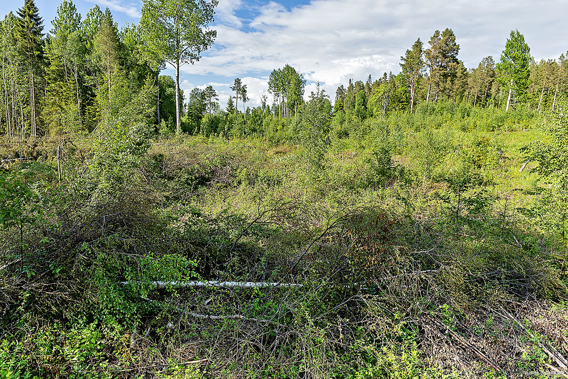 Bild av bostaden