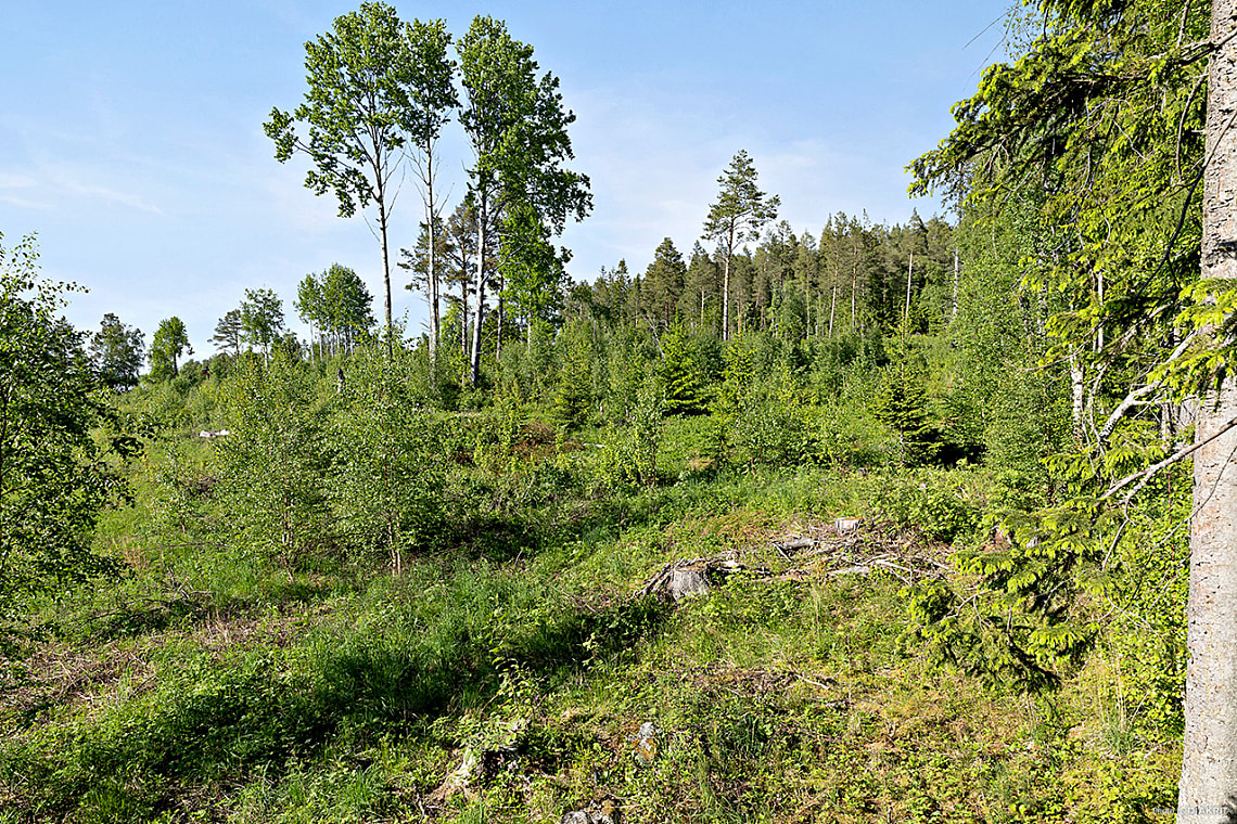 Bild av bostaden