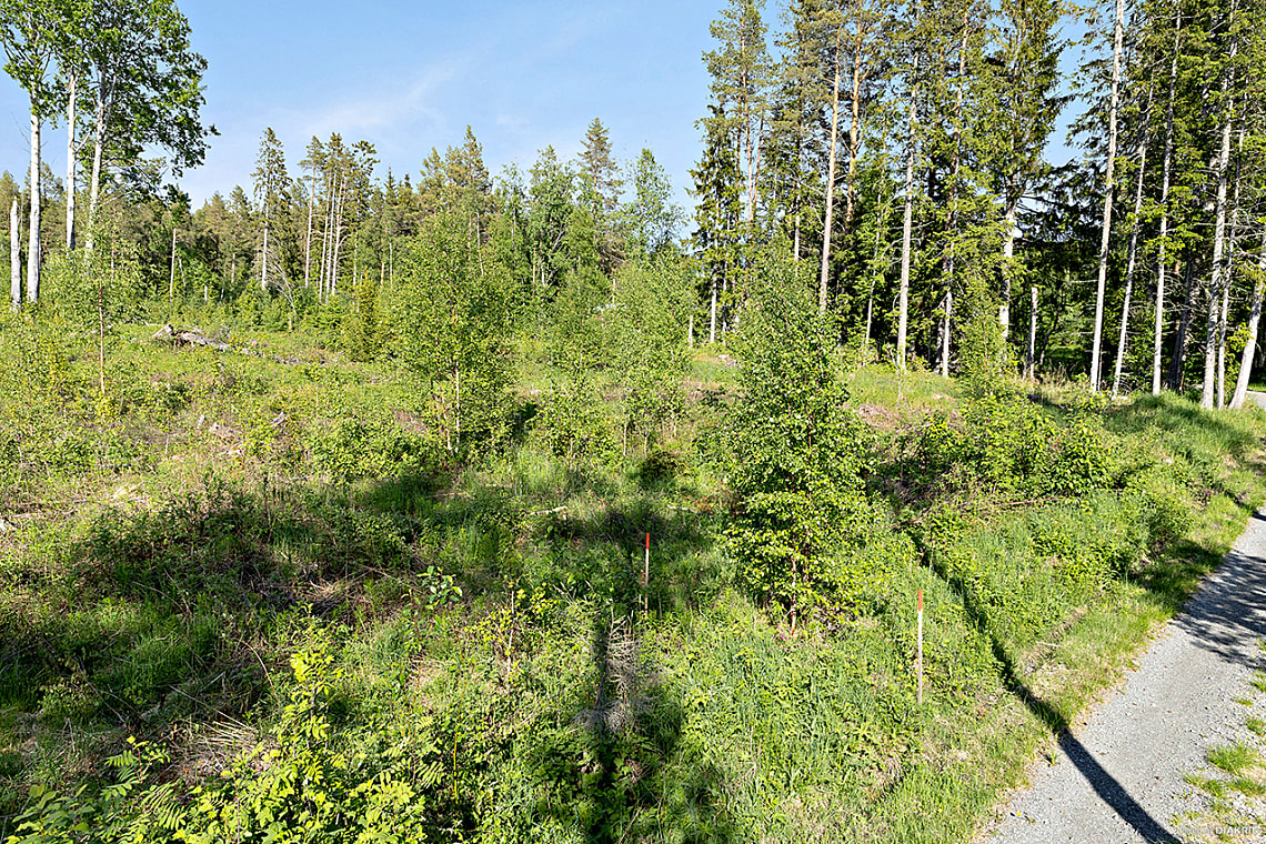 Bild av bostaden