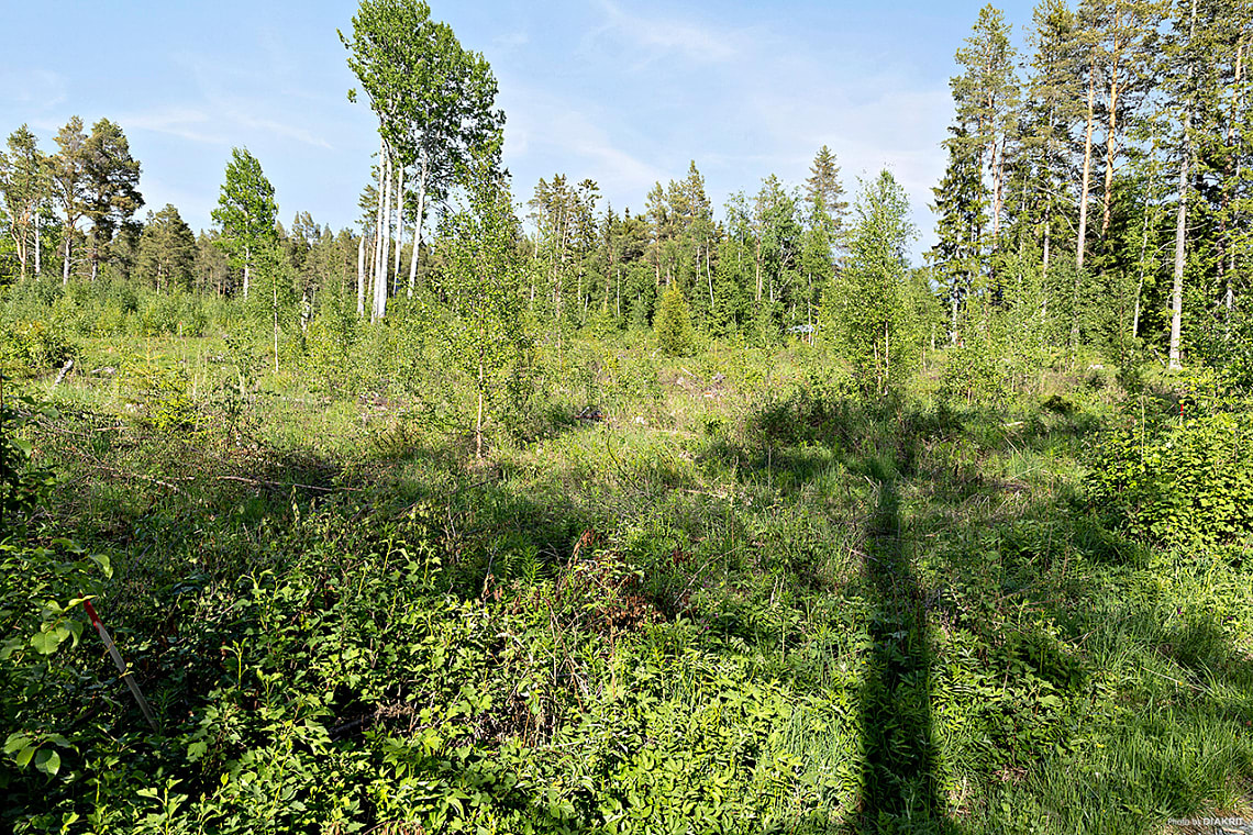 Bild av bostaden