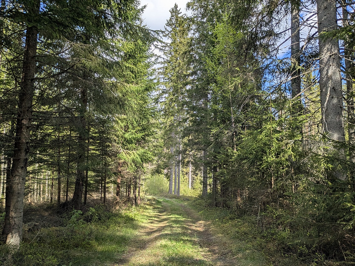 Bild av bostaden