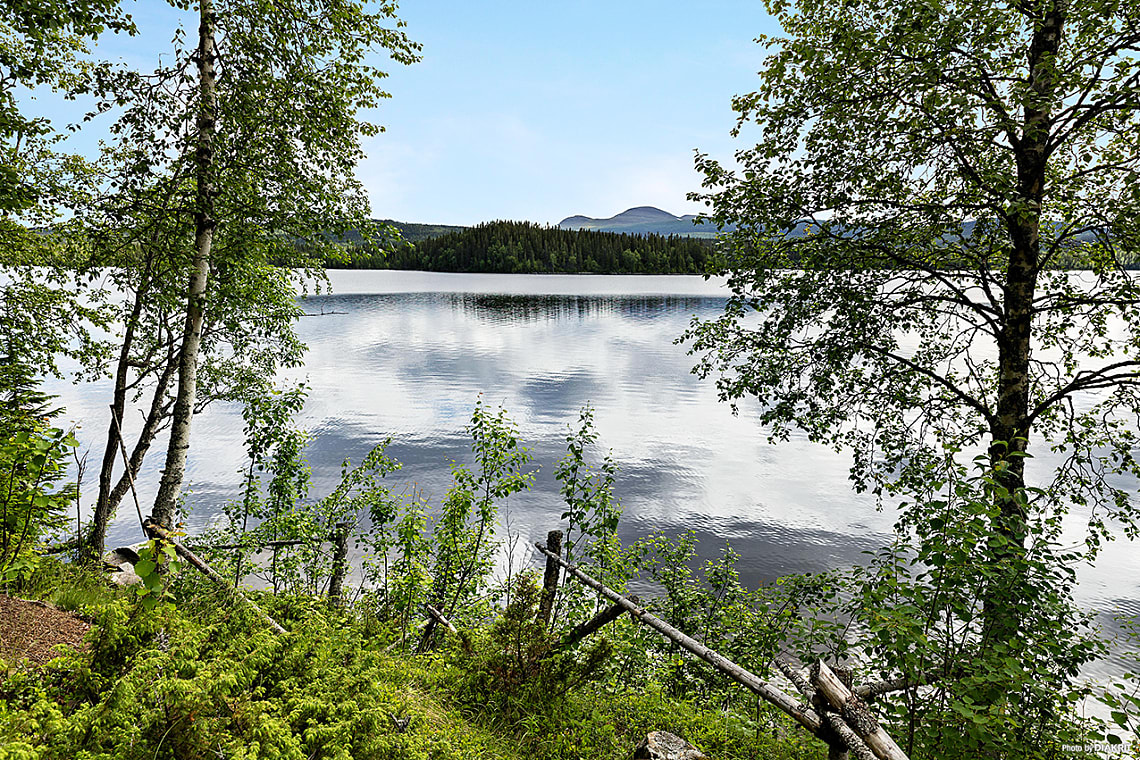 Bild av bostaden