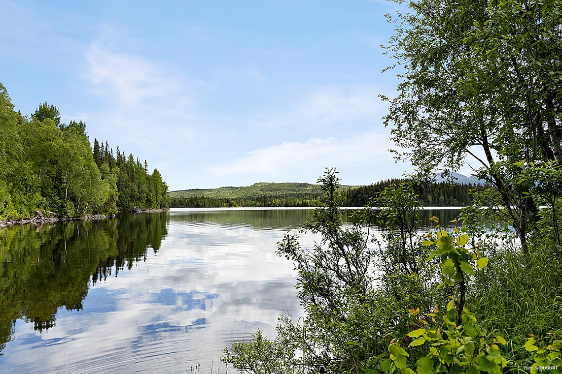 Bild av bostaden