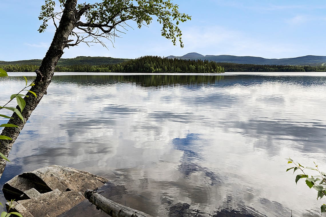 Bild av bostaden