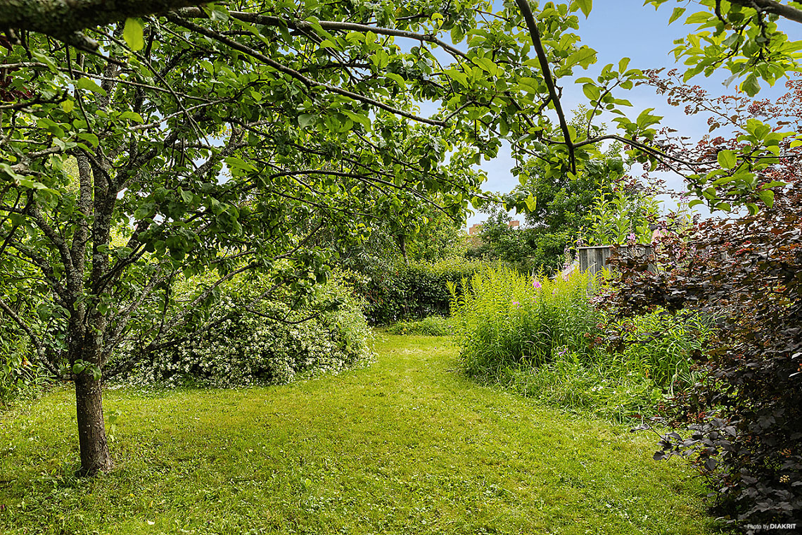 Bild av bostaden
