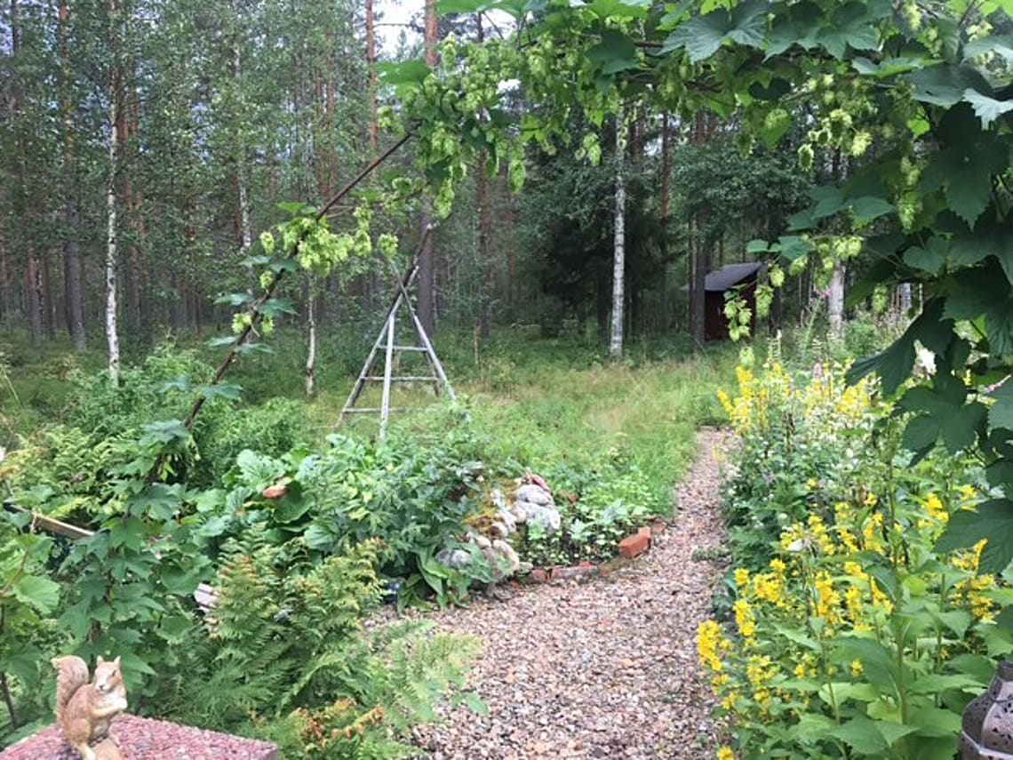 Bild av bostaden