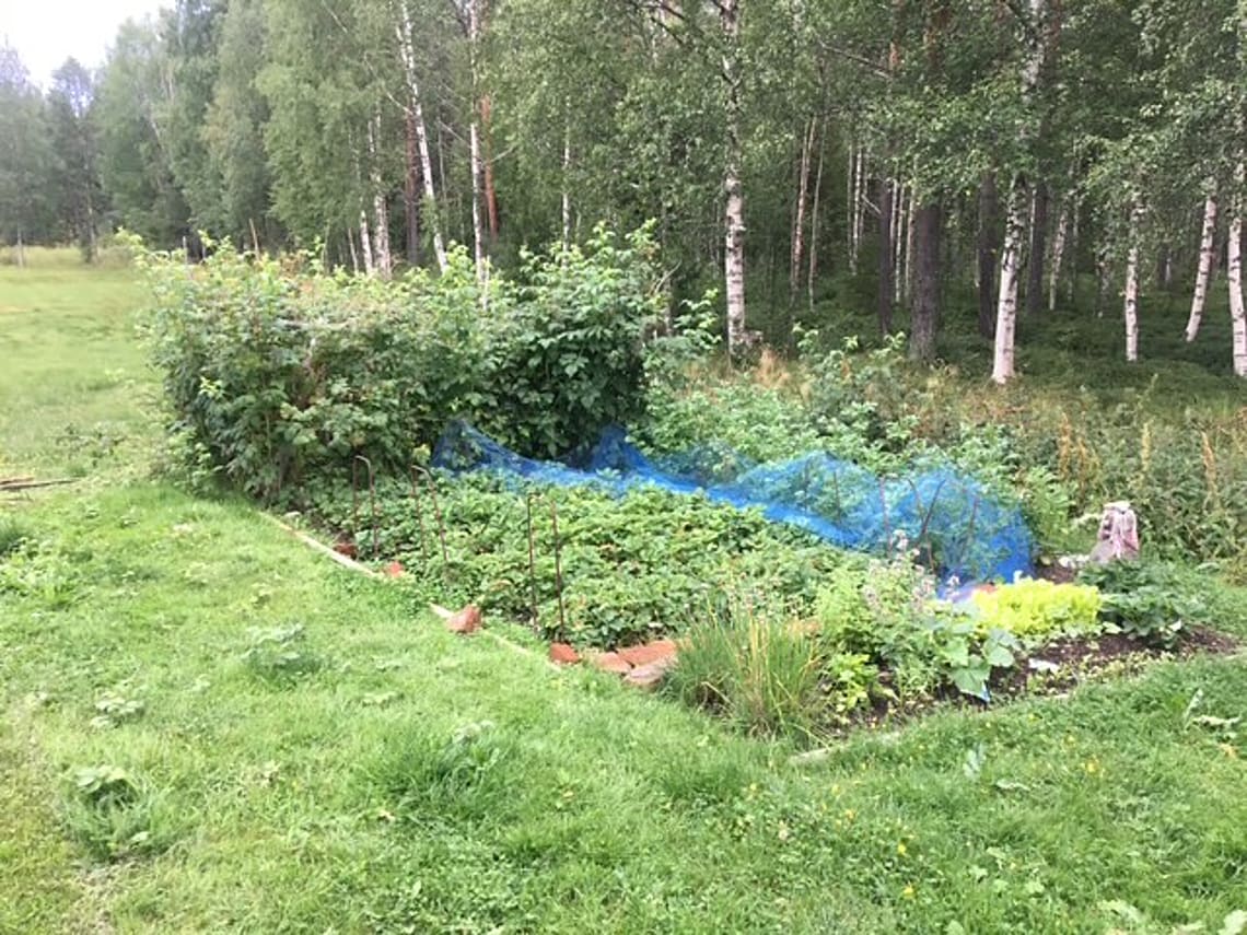 Bild av bostaden