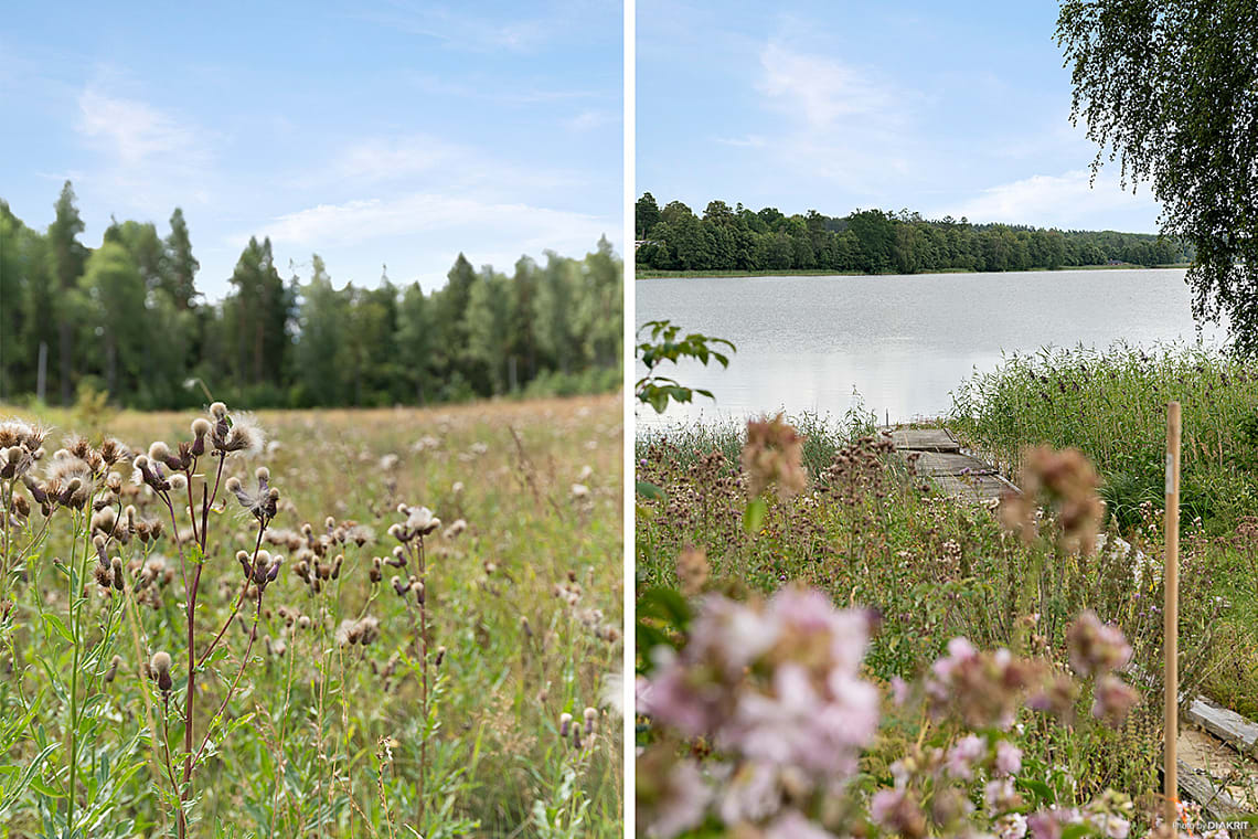 Bild av bostaden
