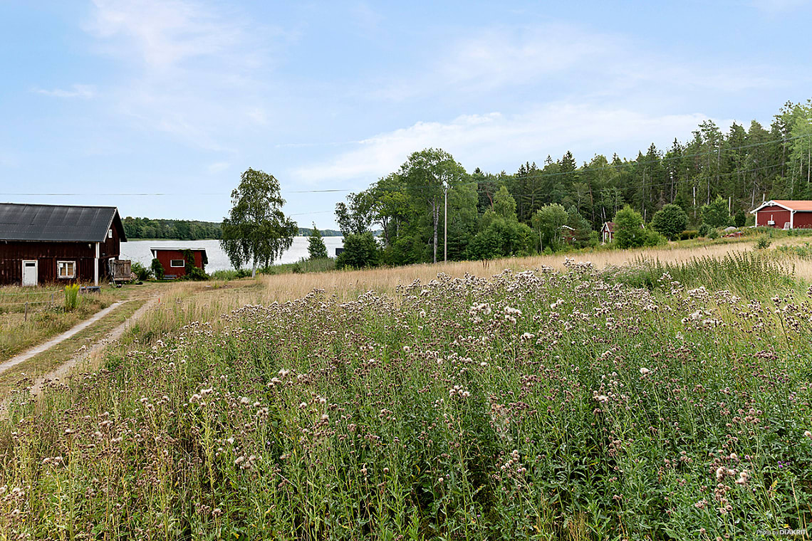 Bild av bostaden