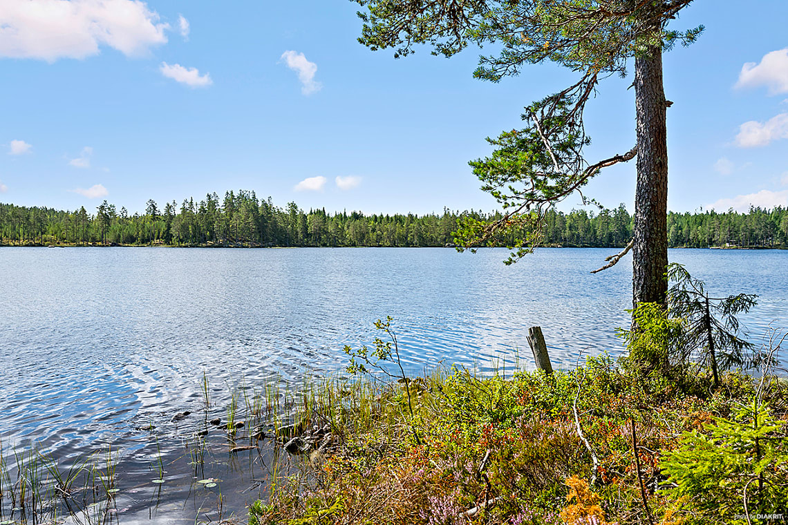 Bild av bostaden