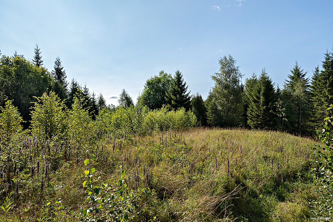 Bild av bostaden
