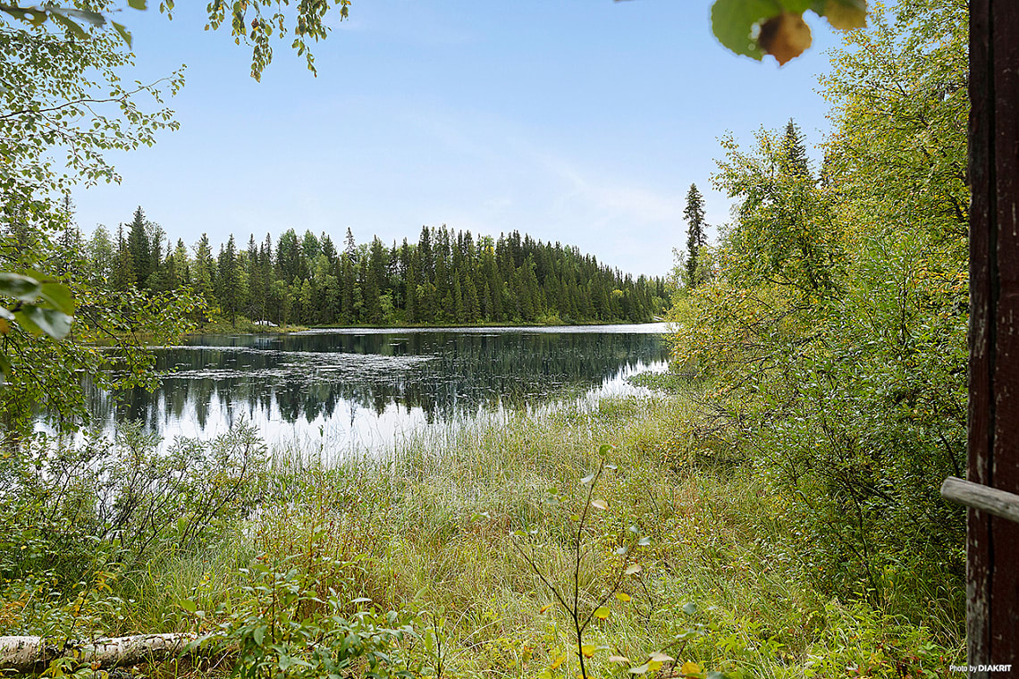 Bild av bostaden