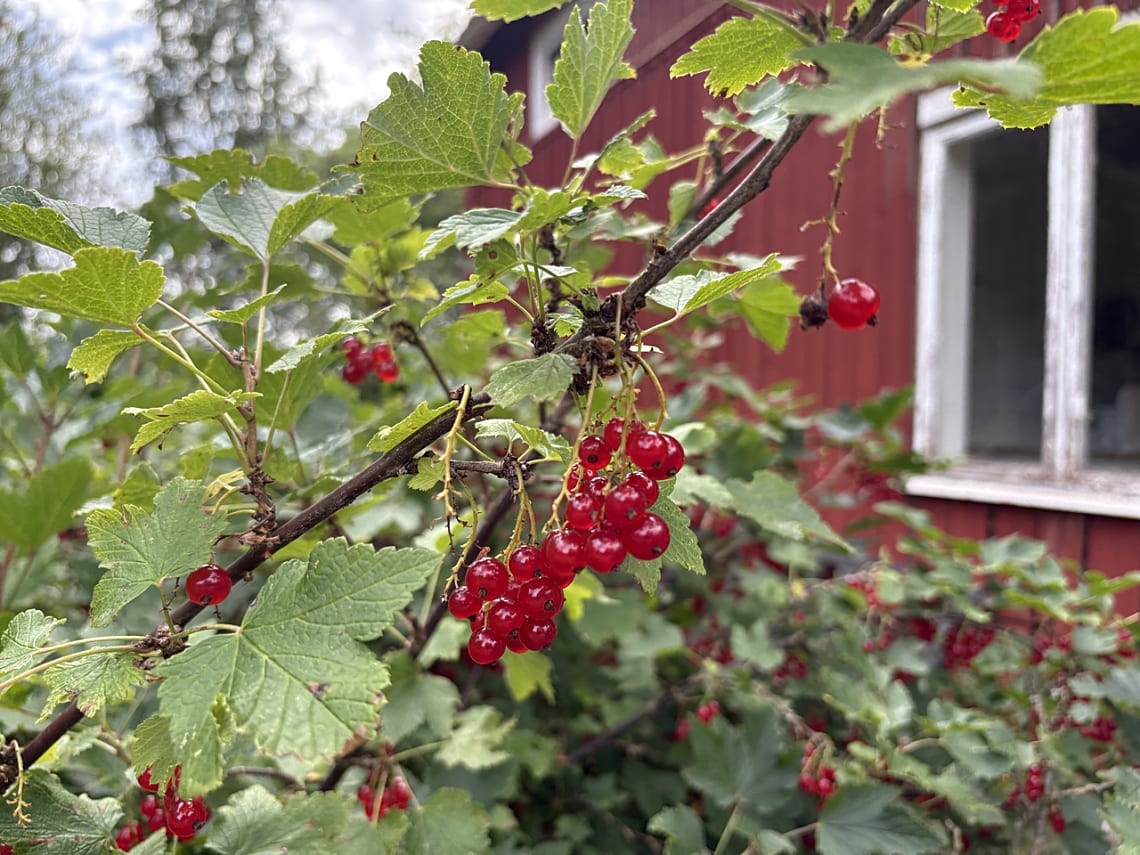 Bild av bostaden